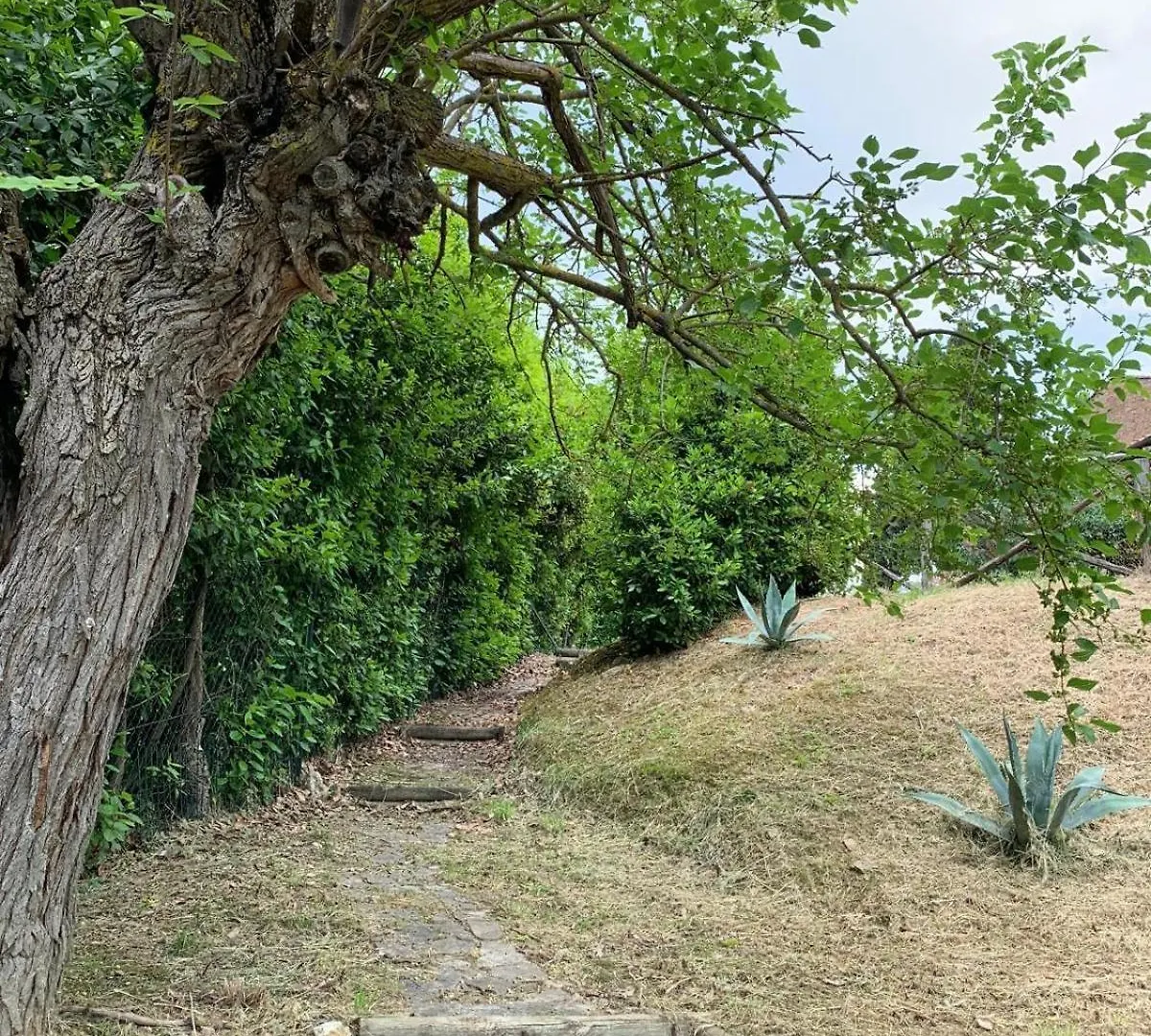 La Casa Di Bernard Apartment Poderi Foci